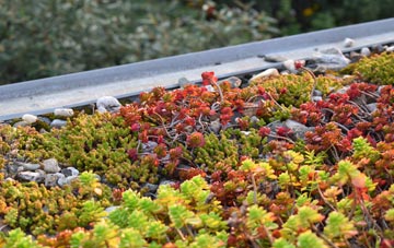 the cost of Lower Berry Hill green roof installation