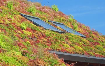Lower Berry Hill living roof systems